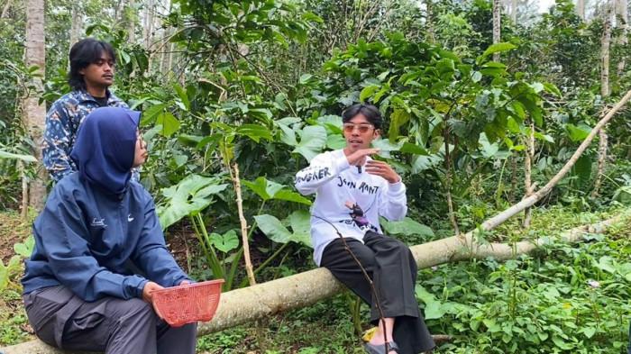 trip ke kebun kopi