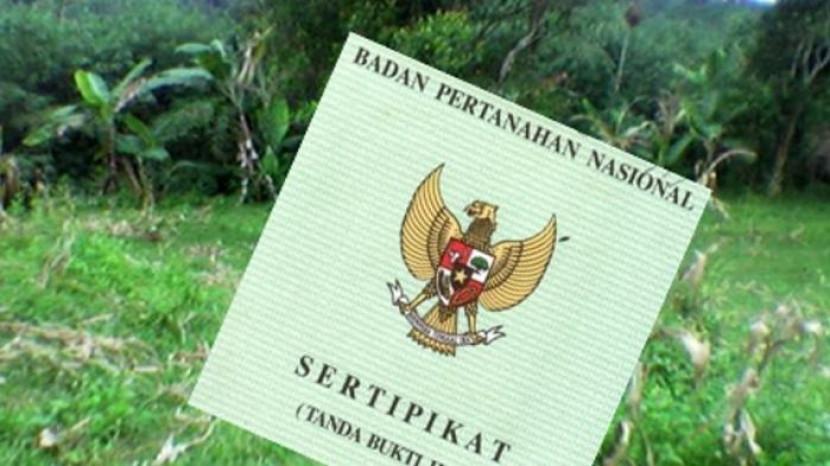 Tribun