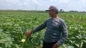 20250621_bloraokra.jpg