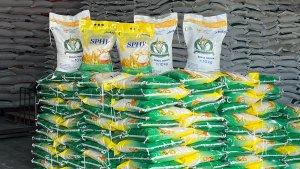 20250714_Perum-Bulog-akan-menyalurkan-beras-SPHP_1.jpg