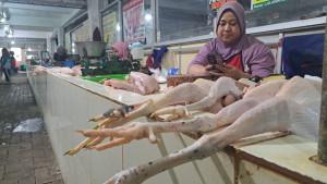 20250910_ayam.jpg