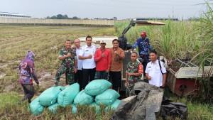 20250916_penyuluh-pertanian-lapangan-mendampingi-petani-Kudus_1.jpg