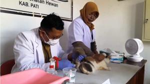 20250922-_-Suntik-Vaksin-Rabies-di-Pati.jpg
