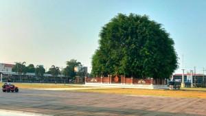 20250923-_-Alun-alun-Batang.jpg