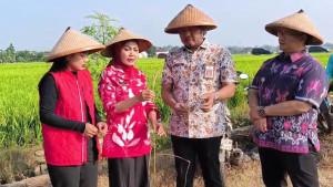 20250923-_-Bupati-Kendal-Cek-Padi-di-Weleri.jpg