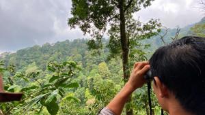 20250927_hutan.jpg