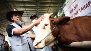20250927_pemprov-jateng_produksi-daging.jpg