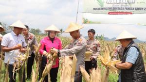 20250928_PANEN-RAYA.jpg