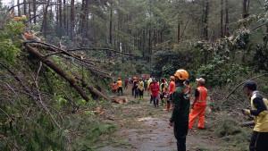 20250929_Puluhan-pohon-tumbang-akibat-angin-kencang-di-Wonosobo_1.jpg