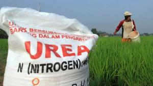 20251003_pupuk-subsidi.jpg