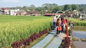 20251005-_-Suasana-Soto-Sawah-Mijen-Semarang.jpg