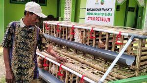 20251006-_-Bantuan-Paket-Kandang-Ayam-Baznas-Blora.jpg