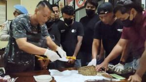 20251009_Bandar-ganja-di-Brebes_1.jpg