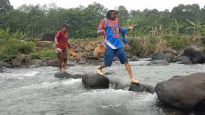 20251012_Durian-di-Desa-Pedawang-Karanganyar-Pekalongan_2.jpg