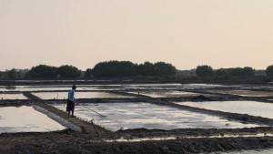 20251014_petani-garam.jpg