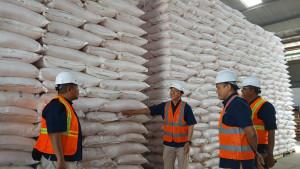 20251014_stok-pupuk-di-Gudang-Purwahamba-Kabupaten-Tegal_1.jpg