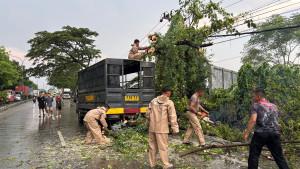 20251015_Angin-puting-beliung-di-Demak_1.jpg