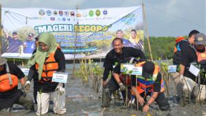 20251015_mangrove-cilacap.jpg
