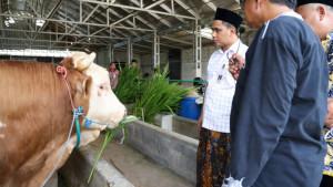 20251017_Wakil-Gubernur-Jawa-Tengah-Taj-Yasin-tinjau-RPH_1.jpg