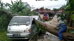 20251020_Akibat-hujan-deras-dan-angin-kencang-di-Purbalingga_1.jpg