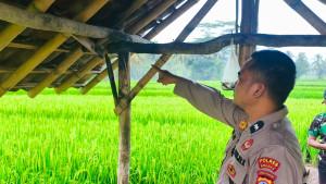 20251020_petir-brebes.jpg