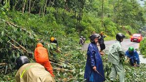 20251022_Pohon-Bambu-Tumbang-Tutup-Jalan-Lingkar-Selatan-Wonosobo_1.jpg