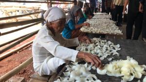 20251022_jepara.jpg