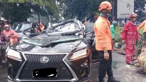 20251026_Mobil-Lexus-tertimpa-pohon.jpg