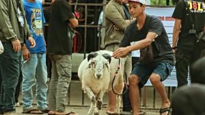 20251026_peternak-domba-di-Pasar-Hewan-Ambarawa_1.jpg