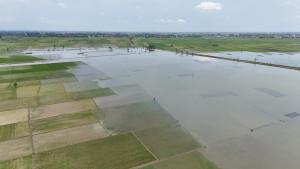 20251027_Pantauan-udara-tampak-membanjiri-area-persawahan-di-Kudus_1.jpg