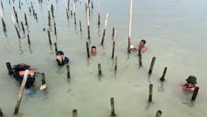 20251028_Koperasi-Kampung-Nelayan-Tambakrejo-Sejahtera-Semarang_1.jpg