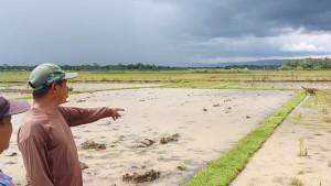 20251028_MESIN-TRAKTOR-HILANG-Ketua-Kelompok-Tani.jpg