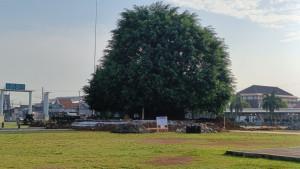 20251028_batang.jpg