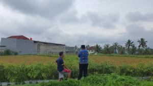 20251029_PETANI-MUDA-Suasana-di-lahan-milik-Yanuardi.jpg