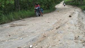 20251031_jalan-rusak.jpg