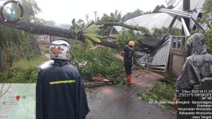 2025103_POHON-TUMBANG-Kondisi-pohon-tumbang-yang-terjadi.jpg