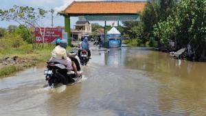 20251102_Pengunjung-tetap-menerjang-genangan-banjir-rob-di-Kendal_1.jpg