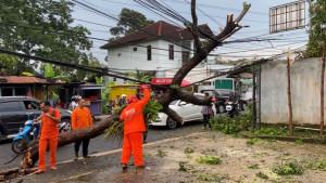 20251104-_-Pohon-Tumbang-Timpa-Rumah-Makan-di-Salatiga.jpg