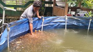 20251109_Mahasiswa-Blora-mengembangkan-kolam-ikan-nila_1.jpg