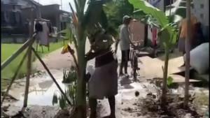 20251119-_-Warga-Poncoharjo-Demak-Tanam-Pohon-Pisang-di-Jalan.jpg