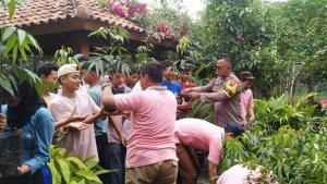 Kegiatan-penanaman-pohon-secara-bersama-di-SMA-Negeri-1-Bantarsariengan-lingkungan.jpg
