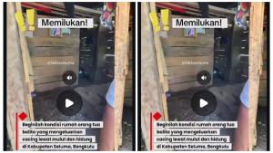 Khaira-mengalami-gizi-buruk-dan-cacingan.jpg
