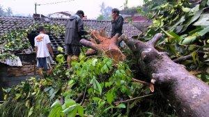 Kondisi-kerusakan-rumah-warga-di-Kecamatan-Sapuran-Wonosobo-akibat-angin-puting-beliung.jpg