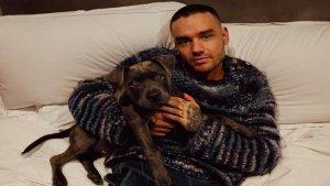 Liam-Payne.jpg