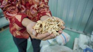 Produk-Porang-Jawa-Tengah-Tembus-Pasar-Cina-Bea-Cukai-Tanjung-Emashgf541234.jpg