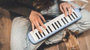 ilustrasi-orang-bermain-pianika.jpg