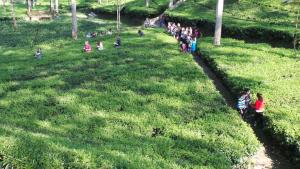 kebun-teh-tambi-wonosobo_20150901_194504.jpg