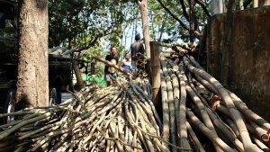 muslam-penjual-bambu-di-blora.jpg