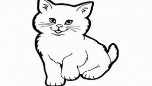 sketsa-hewan-kucing.jpg