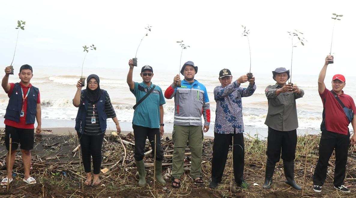 Dukung Program Mageri Segoro, PLTU Batang Kembali Tanam Ribuan Mangrove di Roban Timur
